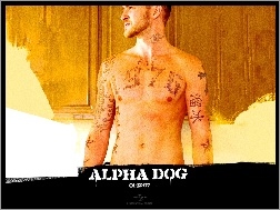 Justin Timberlake, Alpha Dog